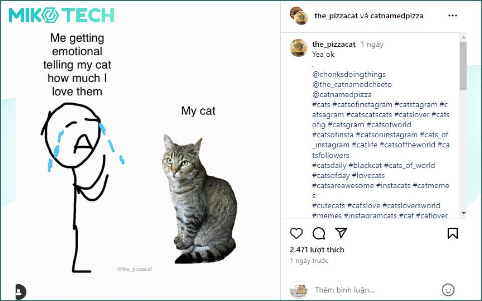 TOP 15 Cách Tăng Follow Instagram Miễn Phí, Đơn Giản Nhất 24 cách buff follow instagram miễn phí